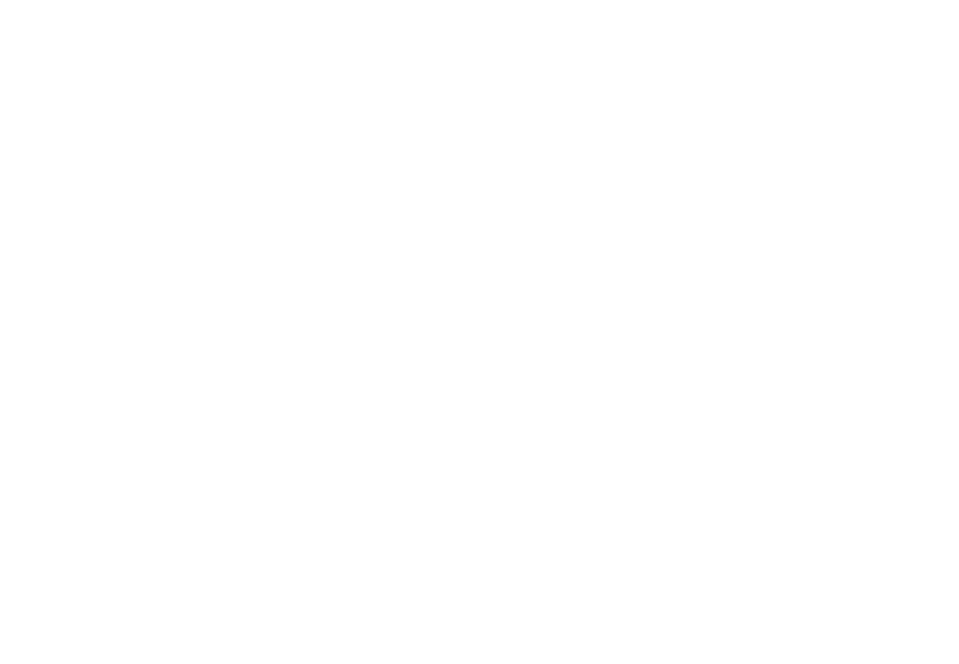wireless bluetooth speaker
