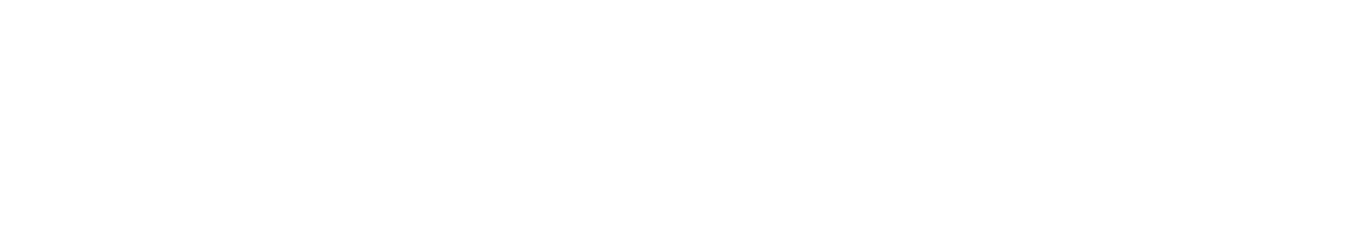 cross pen